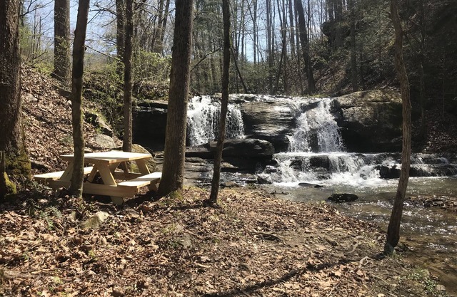 Cabin 2-Allegheny Falls-Mountain View -Private Waterfall- No Stairs-Brand New