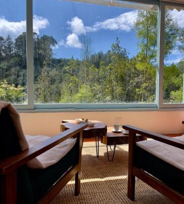 Cabin in the middle of the forest