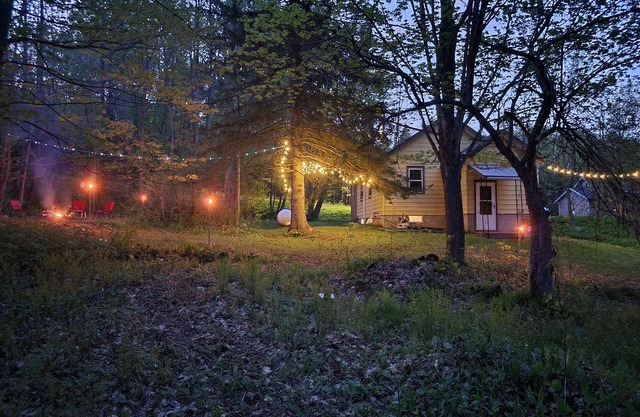 Cabin on 25 Acres of Forest