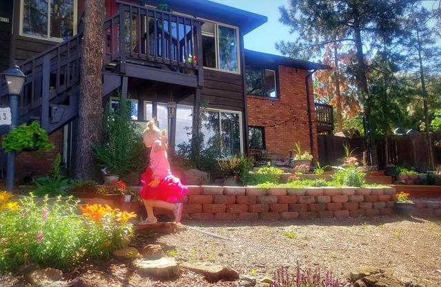 Cabin's entire, private lower level w/mountain view & cozy, comfortable living.