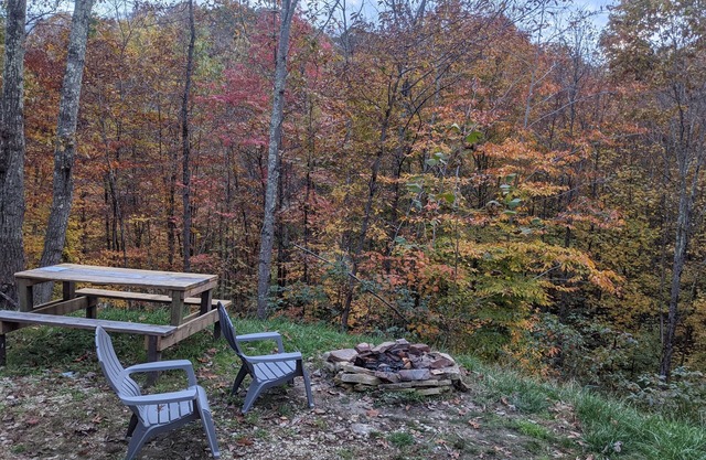 Cabin surrounded by Wayne National Forest and the Baileys Trail System