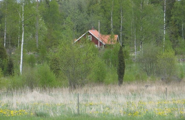 Cabin with Boat at Lake Asnen. Fast Fiber Internet, 3 Bedrooms Sleeps 6, Pets OK