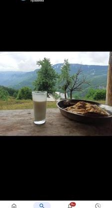 Camp Apartmani Tara