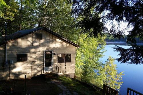 Camp Lake Bear 2