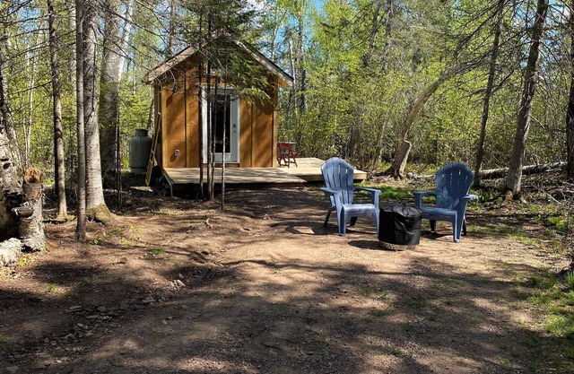 Camper Cabin on the Pincushion Trails