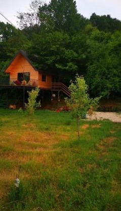 Camping & RV Park set up your tent Treehouse