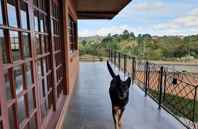 Campos do Jordão - The European charm of Brazilian Switzerland