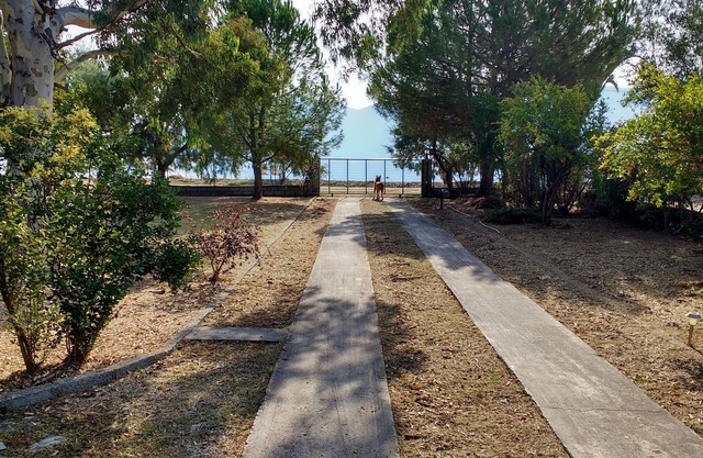 Caravan in 0.2 ha plot by the sea