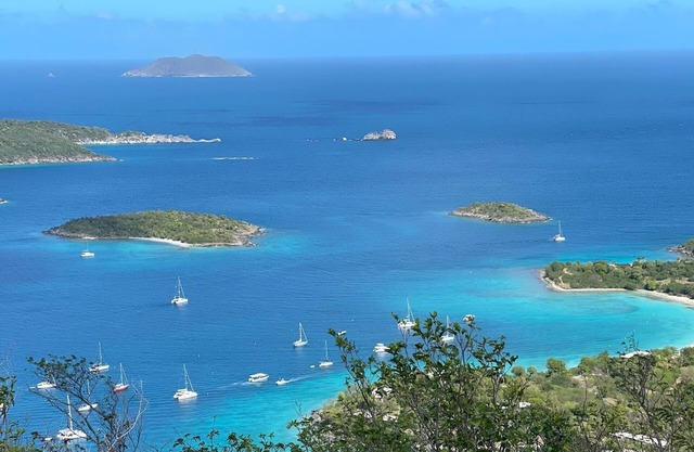 Caribbean Gem Hilltop Condo with Harbor and Island Views, Walk to Town