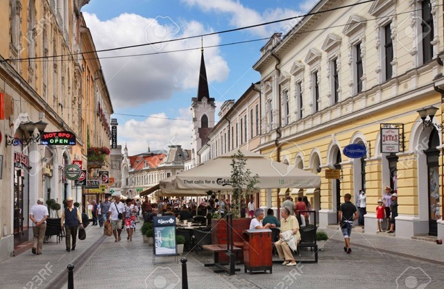 Carolina Sweet Apartment