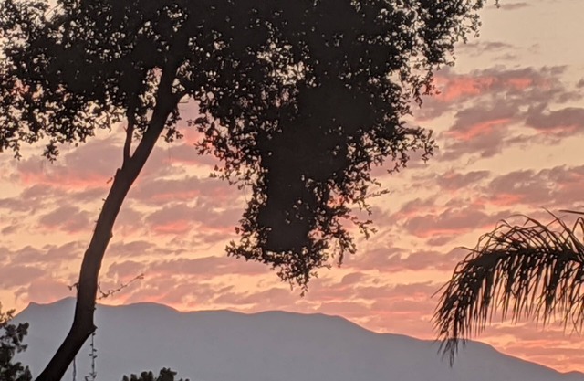 Casa Calma Modern Ojai Home Gated Best Location and Views
