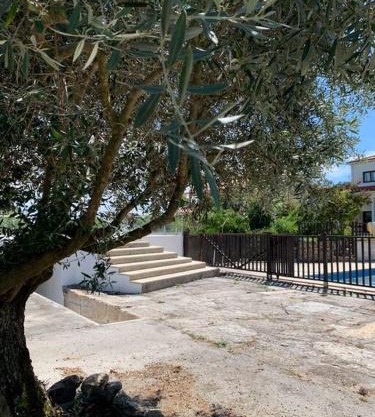 Casa da Oliveira