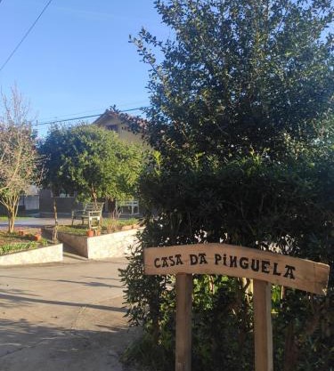 Casa da Pinguela Camino Inglés