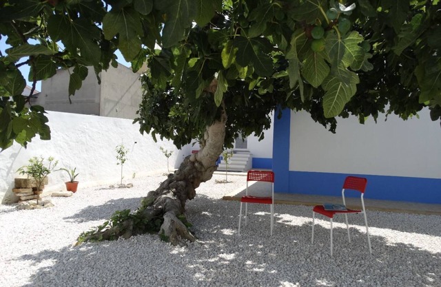 Casa da Figueira