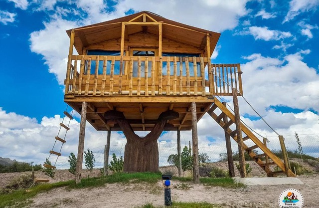 Casa de Arbol estillo dormis