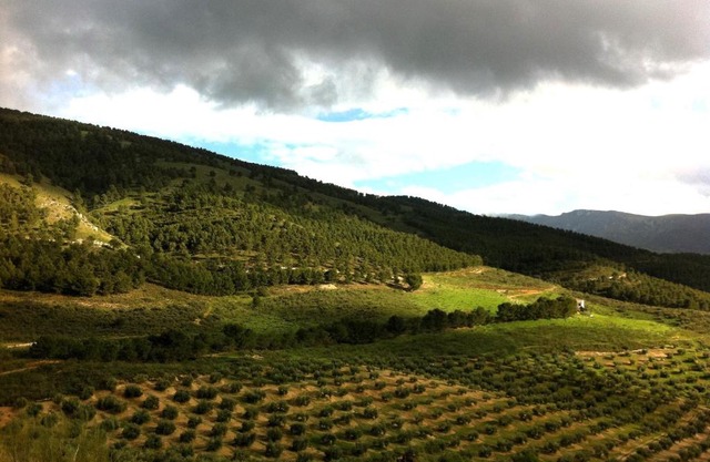 Casa Dehesa San Cristóbal, Jaén