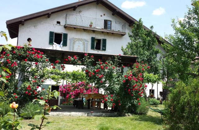 Casa di Alfredo Apartment - CITR9039