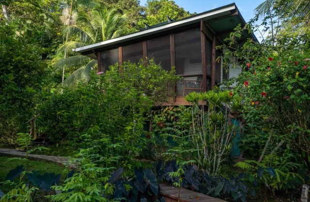 Casa Florecer- bungalow at the edge of the sea