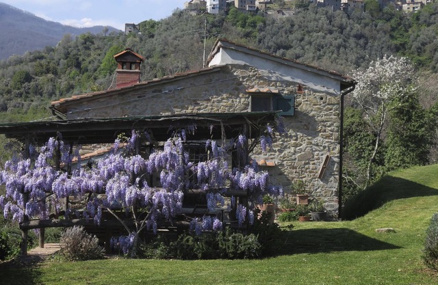 Casa Giusti Vellano PESCIA Pistoia