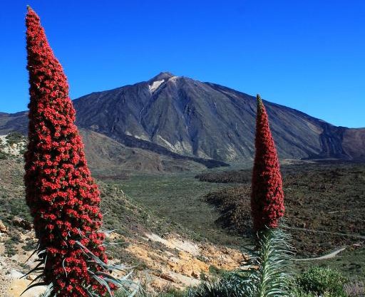 Casa Ivonne - San Isidro