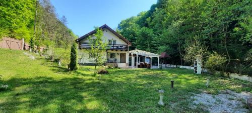 Casa Licurici