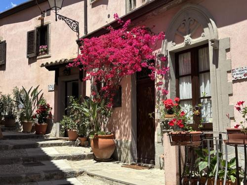 Casa Lina Bouganville