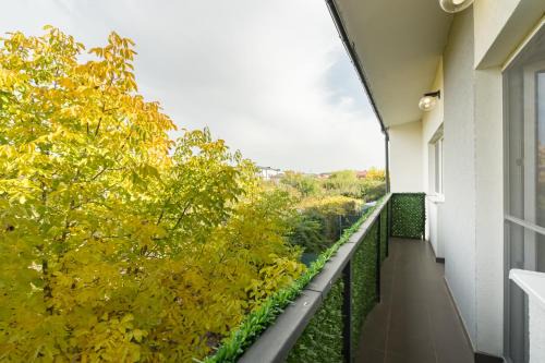 Casa Magurele 4