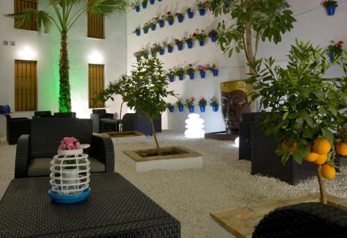 CASA PATIO LAS PALMERAs 5 y 6