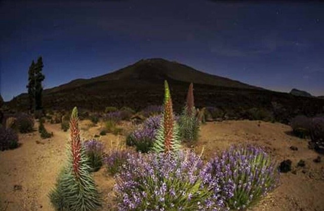 "CASA PAUCA" with magnificent views of Mount Teide