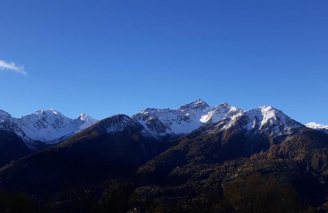 Casa per vacanze degli gnomi
