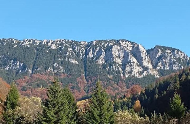 Casa Rania si Ayan Sătic Rucăr