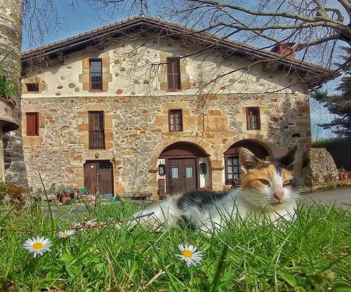 Casa Rural Areano