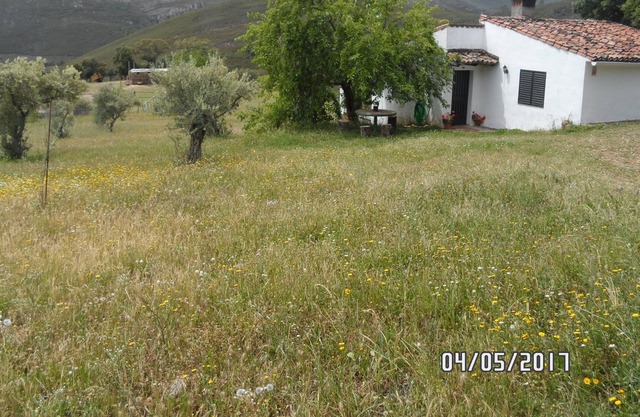 Casa Rural La Jara con vistas a la montaña