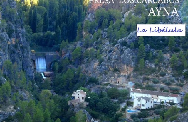 Casa rural La Libelula Ayna
