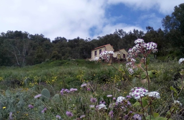 Casa Rural Las Caldereras