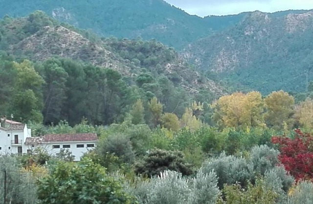 Casa Rural Rio los Molinos