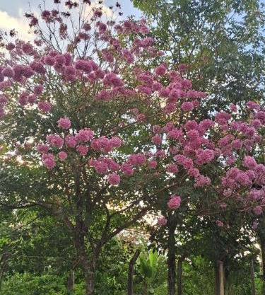 Casa Temporada Oasis no Sertão