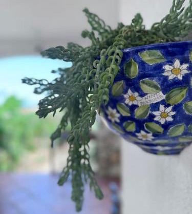 Casa Vacanze Anthea Carini