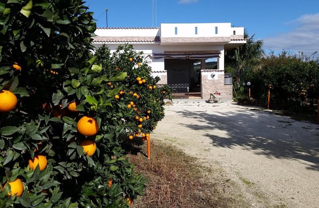 Casa Vacanze Pino - Sciacca - Casa di campagna