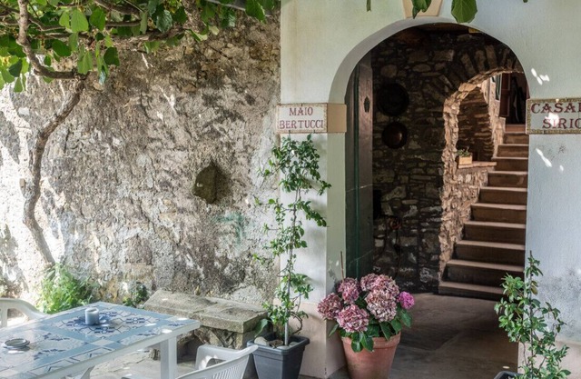 Casal Sirio - Sapphire