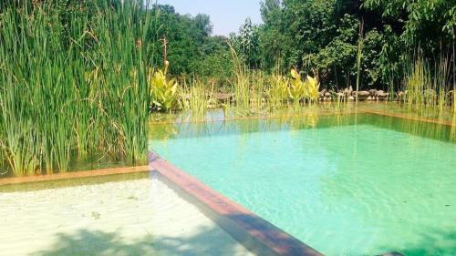 Casas Rurales Camino del Castaño