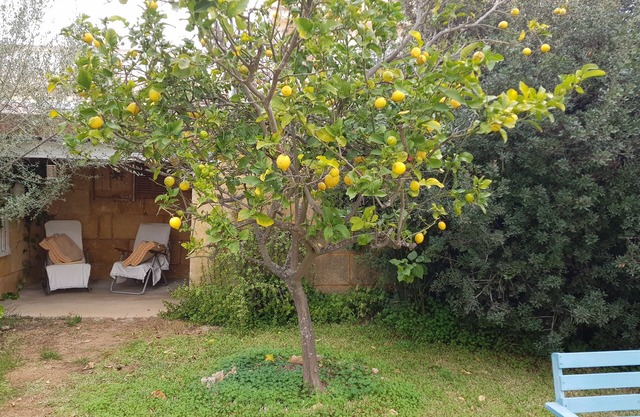 Casita fishing south of the island
