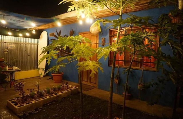 Casita Olivia