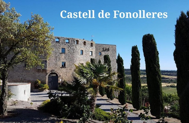 Castell de Fonolleres