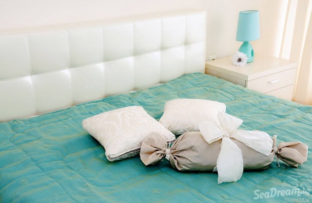 Cat Moon in SeaDream Rental Apartments