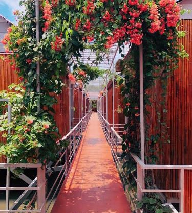 Cato Homestay