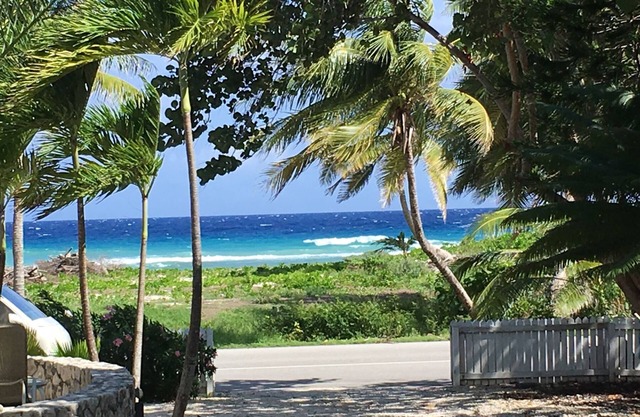 Caymanian Style Homenw/Pool, Pickle Ball Court, Optional Private Barn