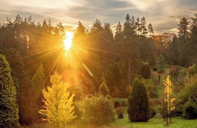 Cedar Cabin Overlooking Bedgebury Forestnn