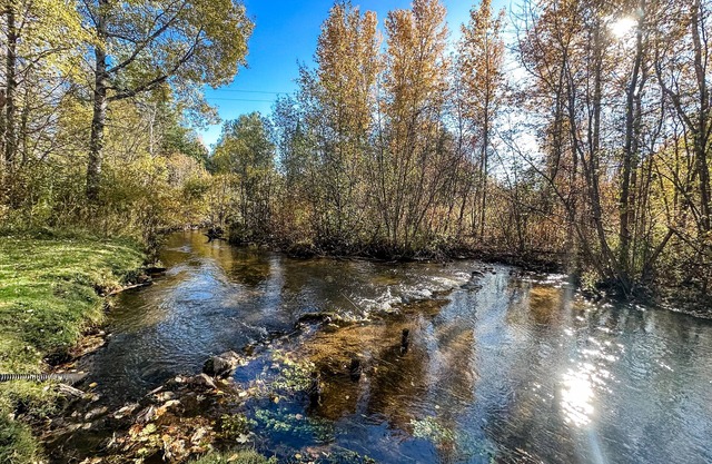 Cedar River Home-Pet Friendly!