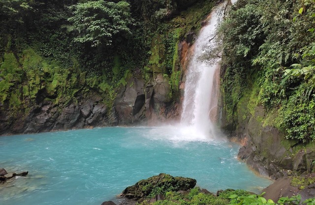 Celeste River Nature View